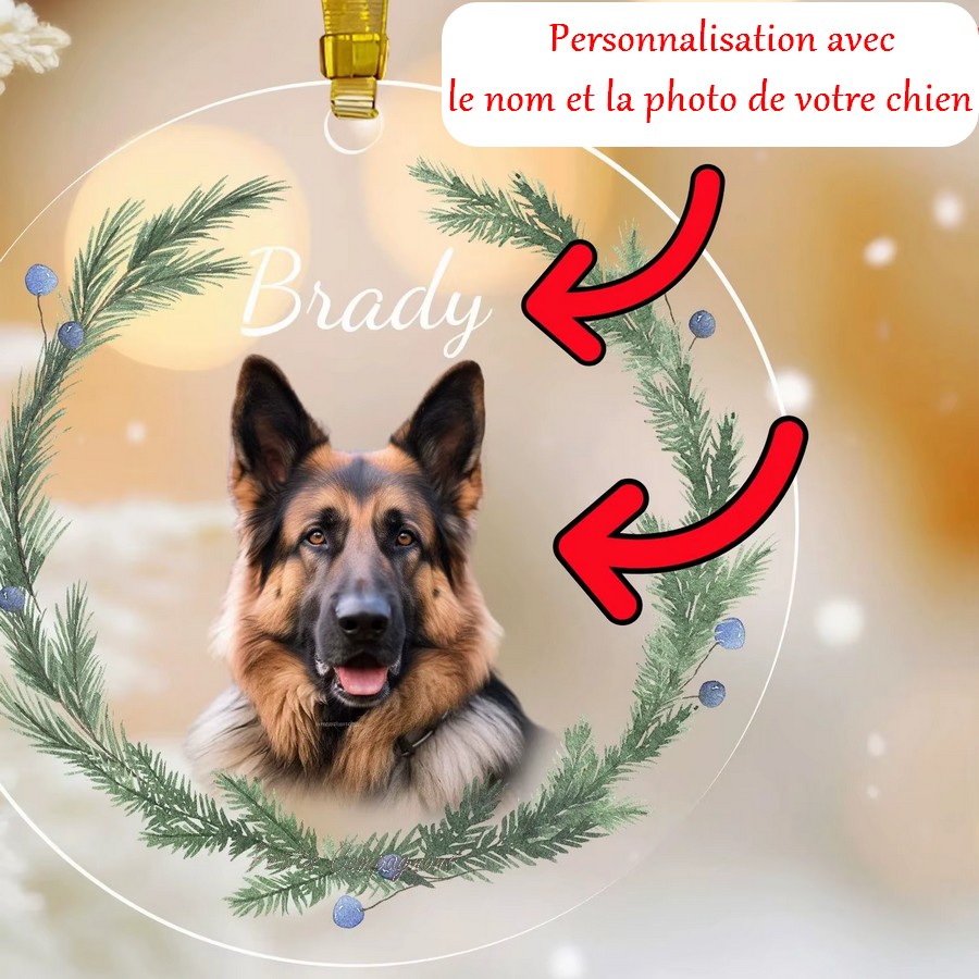 Sapin canin à suspendre