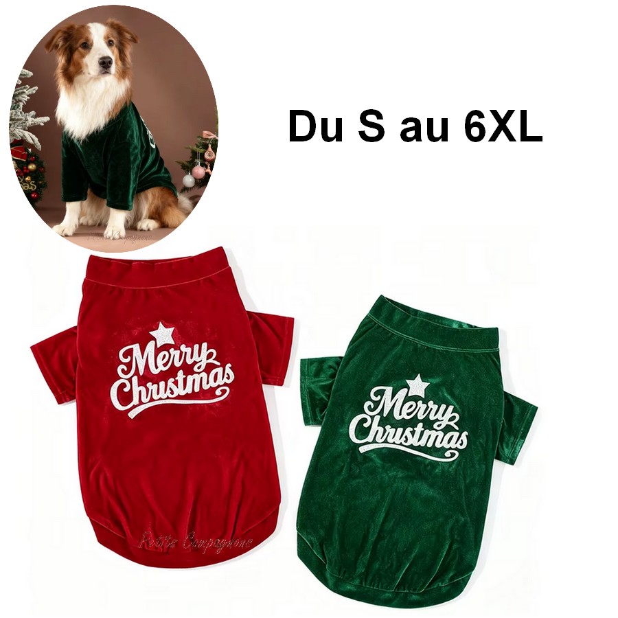 Tee-shirt
