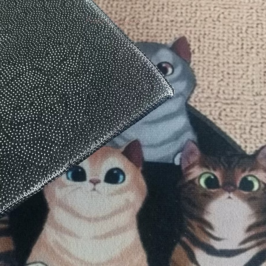 Tapis-de-sol-humour-photo-animaux-Tapis-entree-photos-personnalise-Paillasson-photo-chien-chat