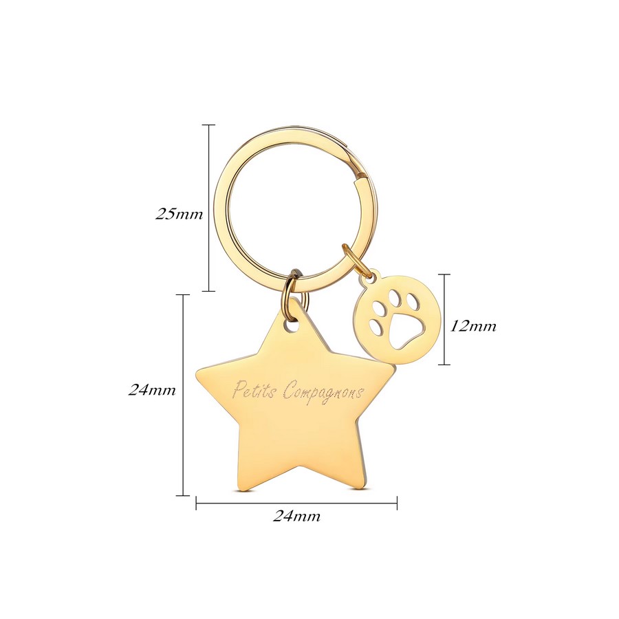 Medaille-etoile-gravee-Medaille-gravee-pour-chiens-Porte-cles-grave-chien