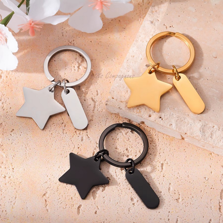 Medaille-double-gravee-pour-chien-Medailles-identiification-pour-chiens-Porte-cle-design-personnalise-chien