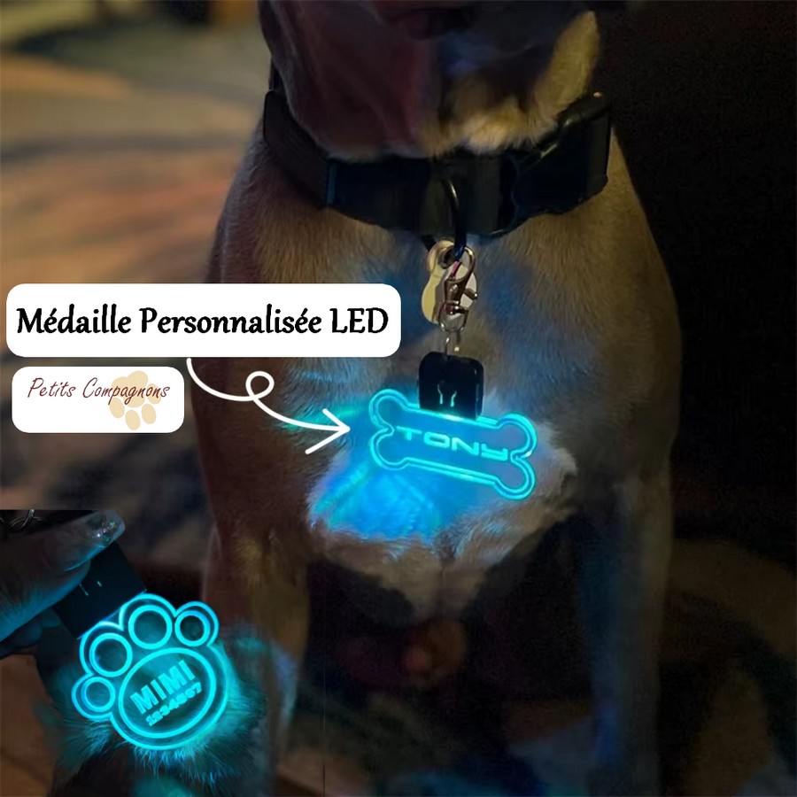 Médaille d\'identification lumineuse