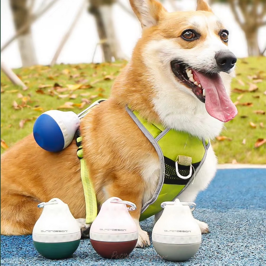Pendentif-gourde-chien-Gourde-portable-chat-Gourde-avec-mousqueton-pour-animaux