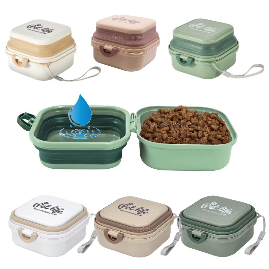 Boîte pliable double bol pour eau et nourriture portable