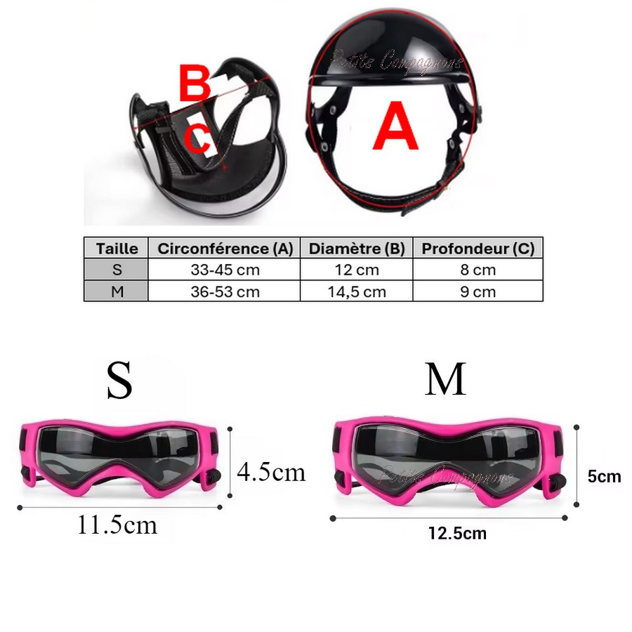 Casque-moto-chien-lunettes-protection