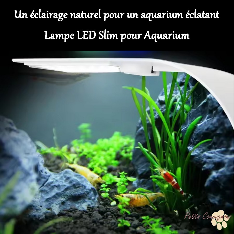 Lampe LED slim