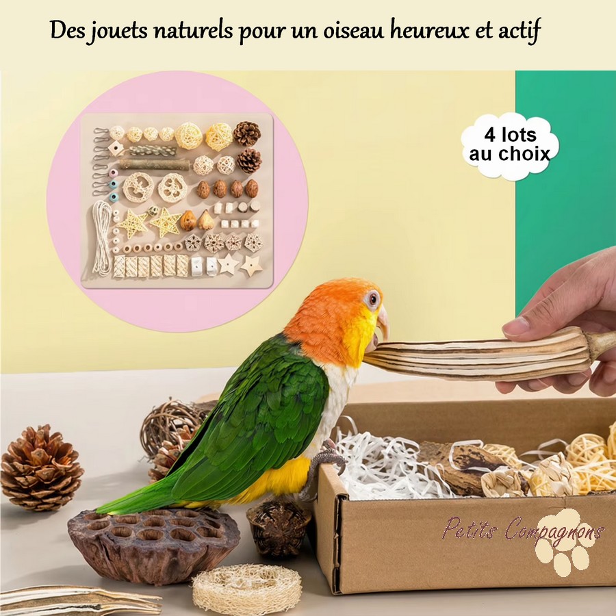 Lot de 14 jouets