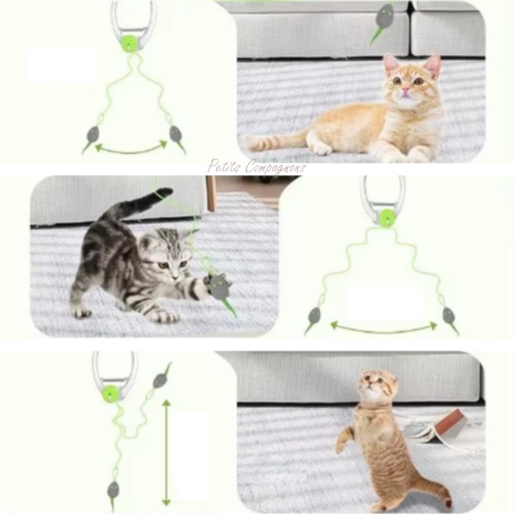 jouet-interactif-chat-yo-yo-souris
