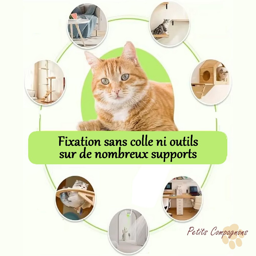jouet-chat-anti-ennui-souris-suspendue