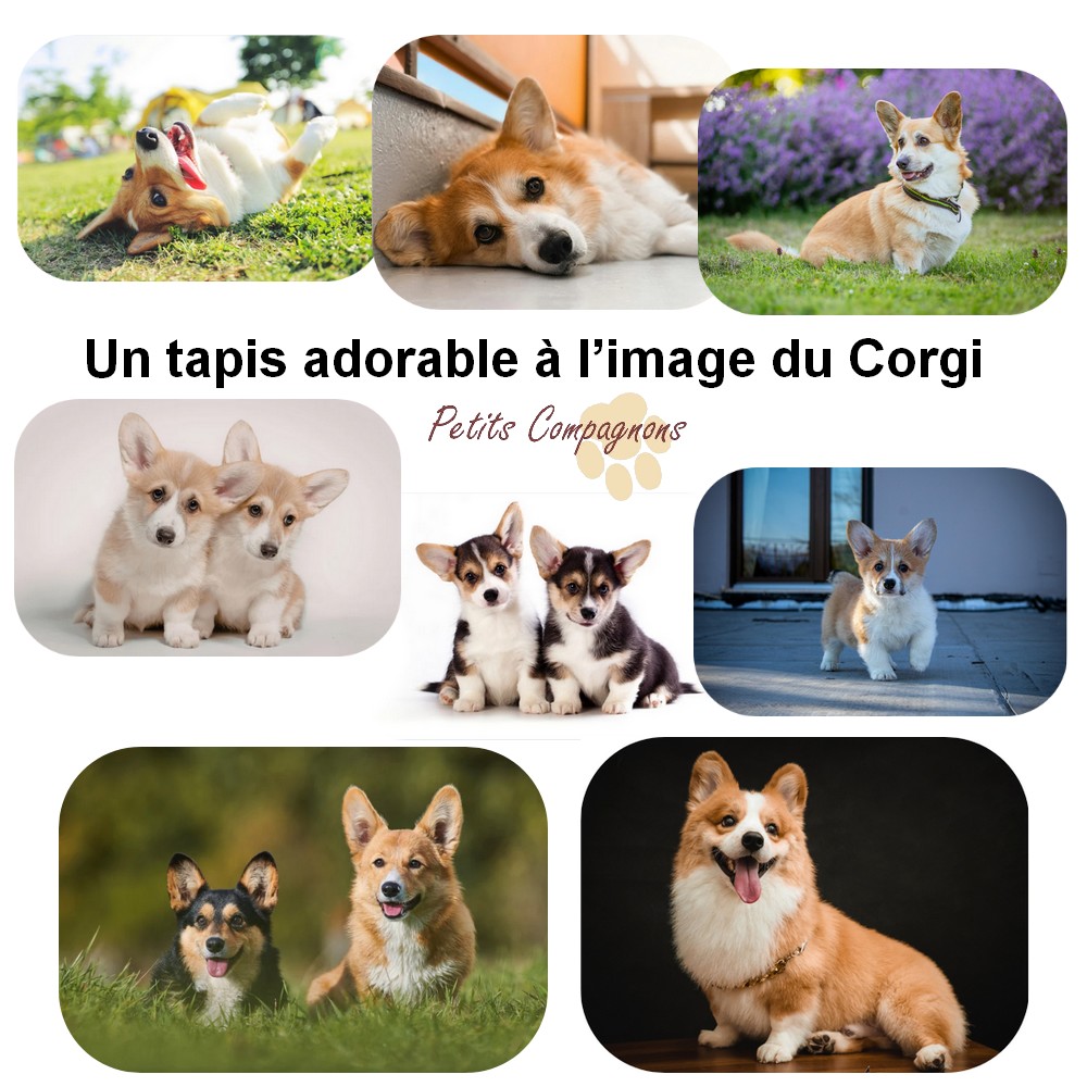 Tapis de sol Corgi