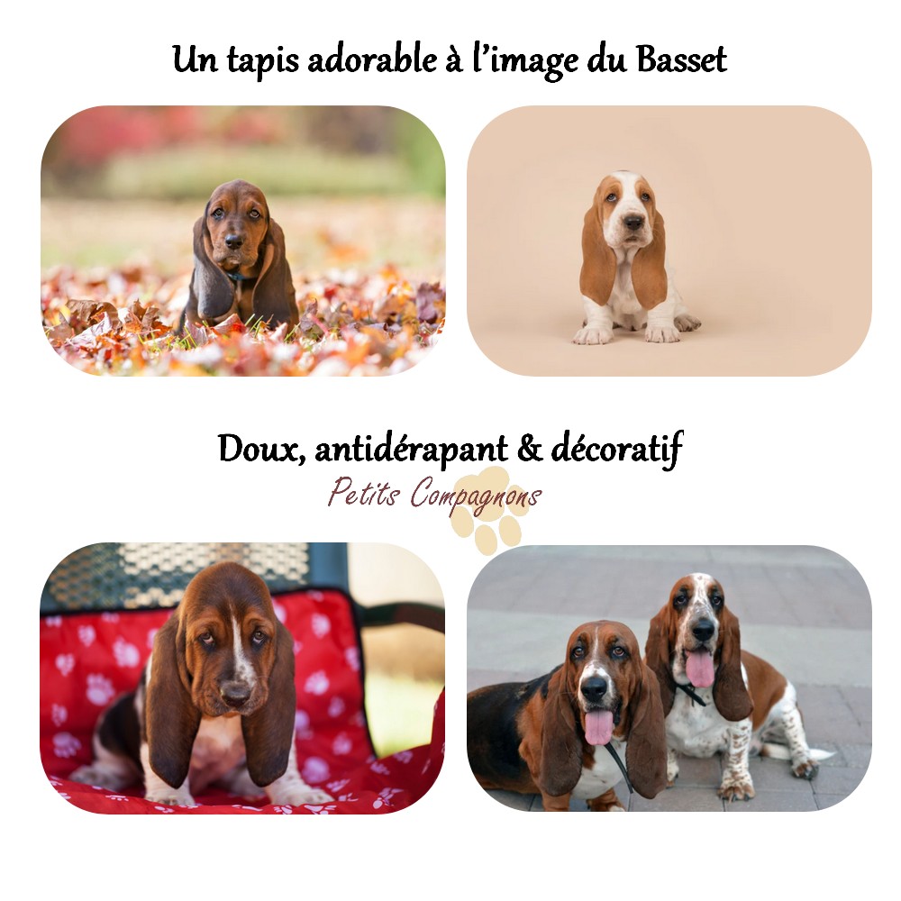 Tapis de sol Basset