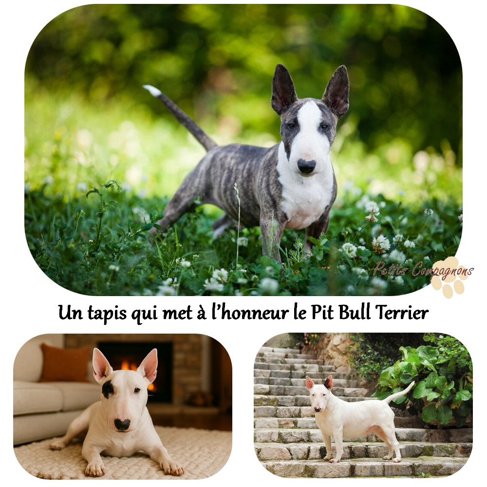 Tapis de sol Pit Bull Terrier