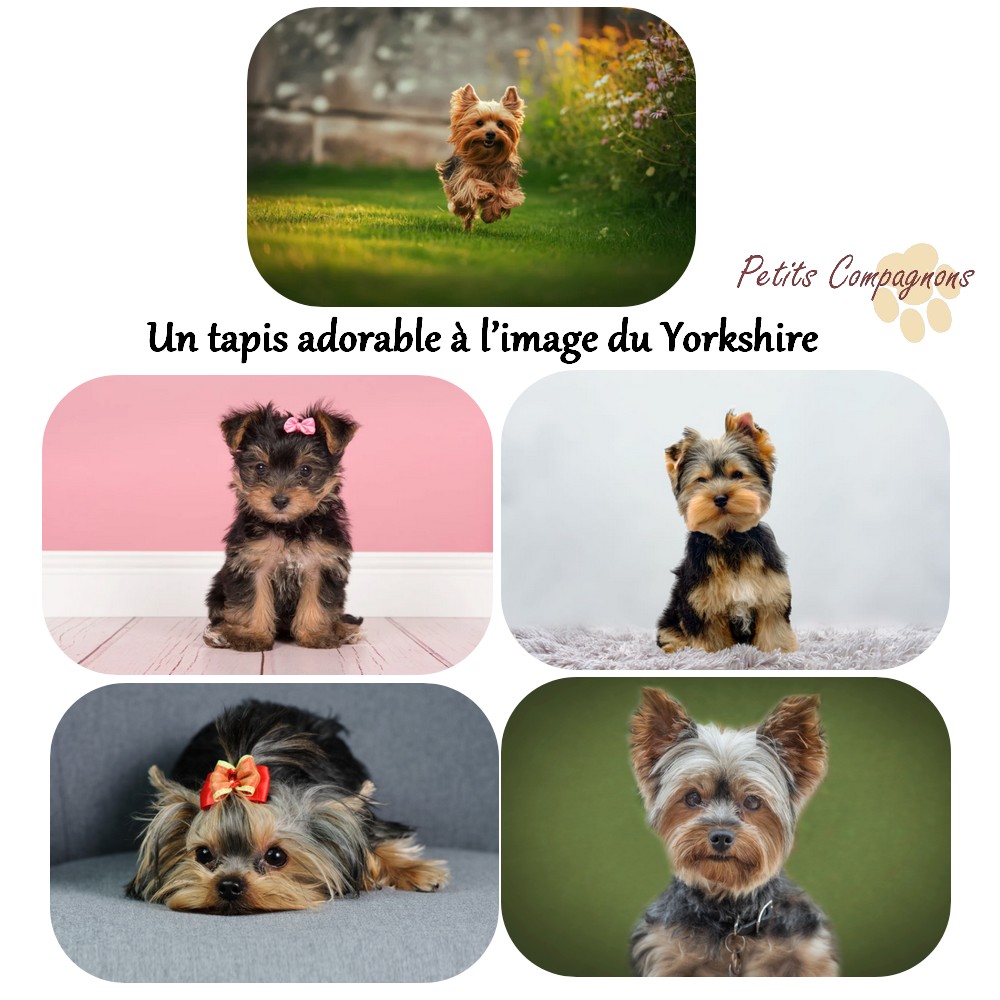 Tapis de sol Yorkshire