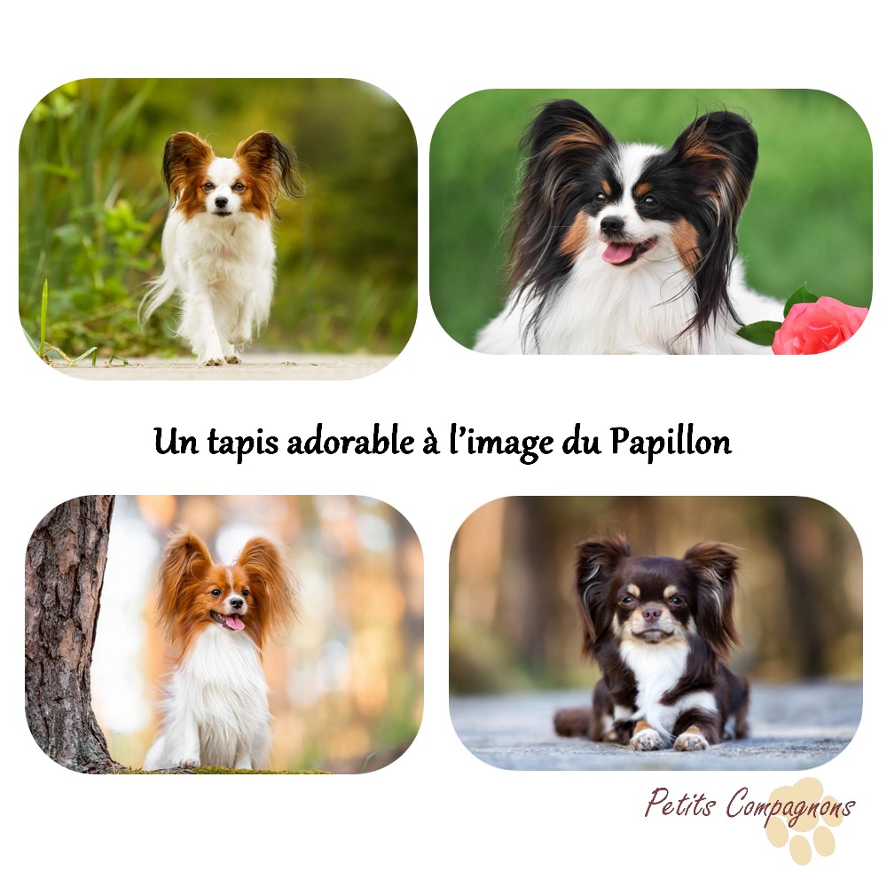 Tapis de sol Papillon