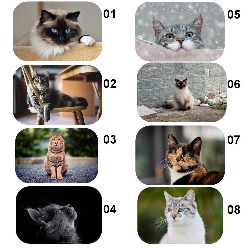 tapis-chat-imprime