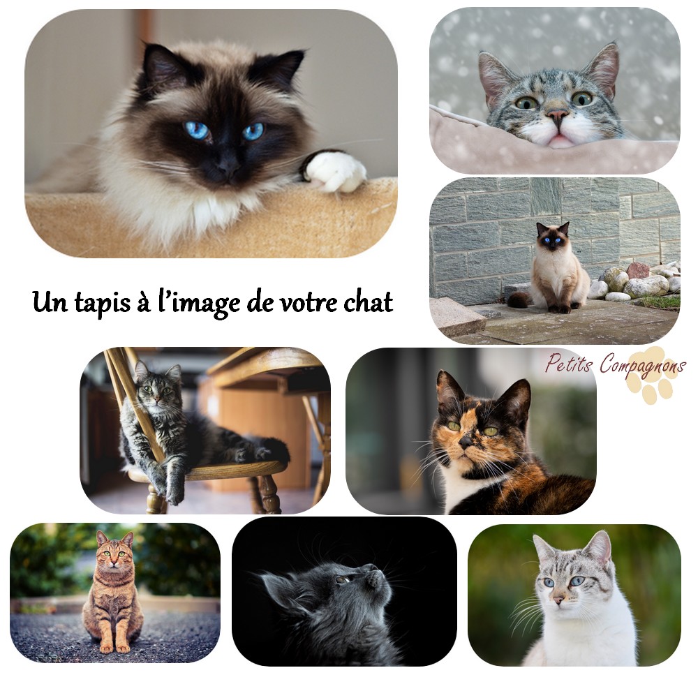Tapis de sol imprimé chat