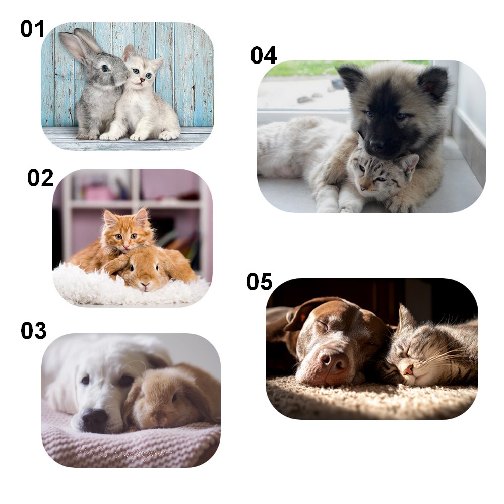tapis-entree-motif-animaux-mignons
