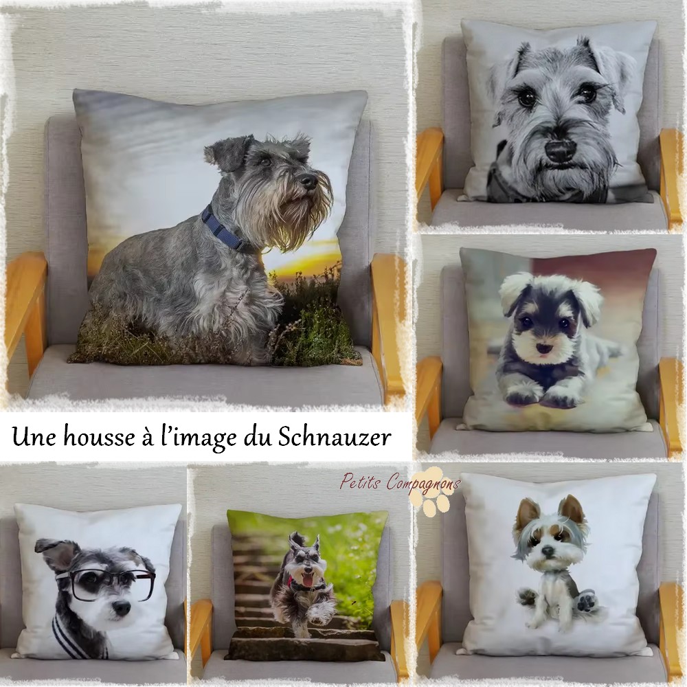Housse de coussin Schnauzer