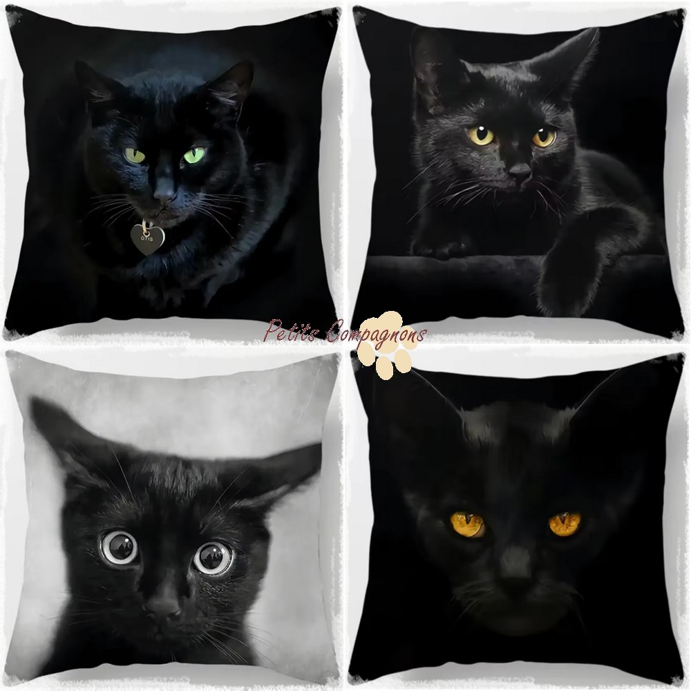 Housse de coussin Bombay