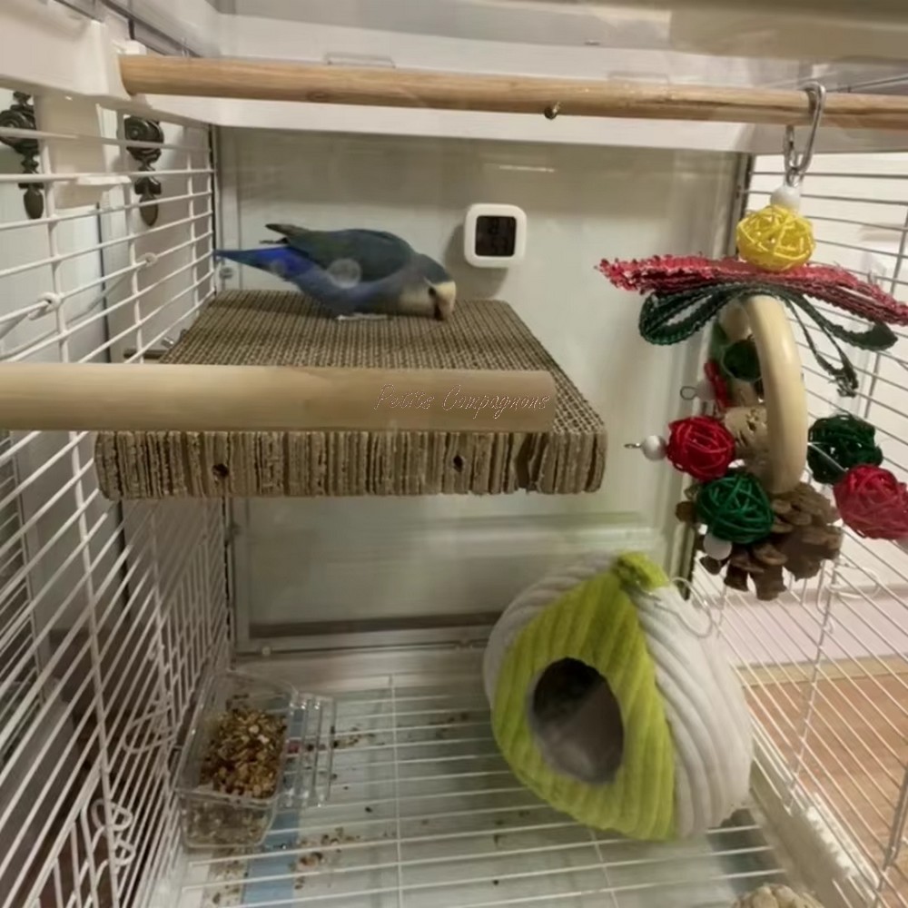 support-repos-oiseaux-cage