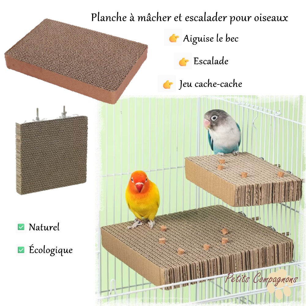 Planche à Mâcher et Escalader pour Oiseaux