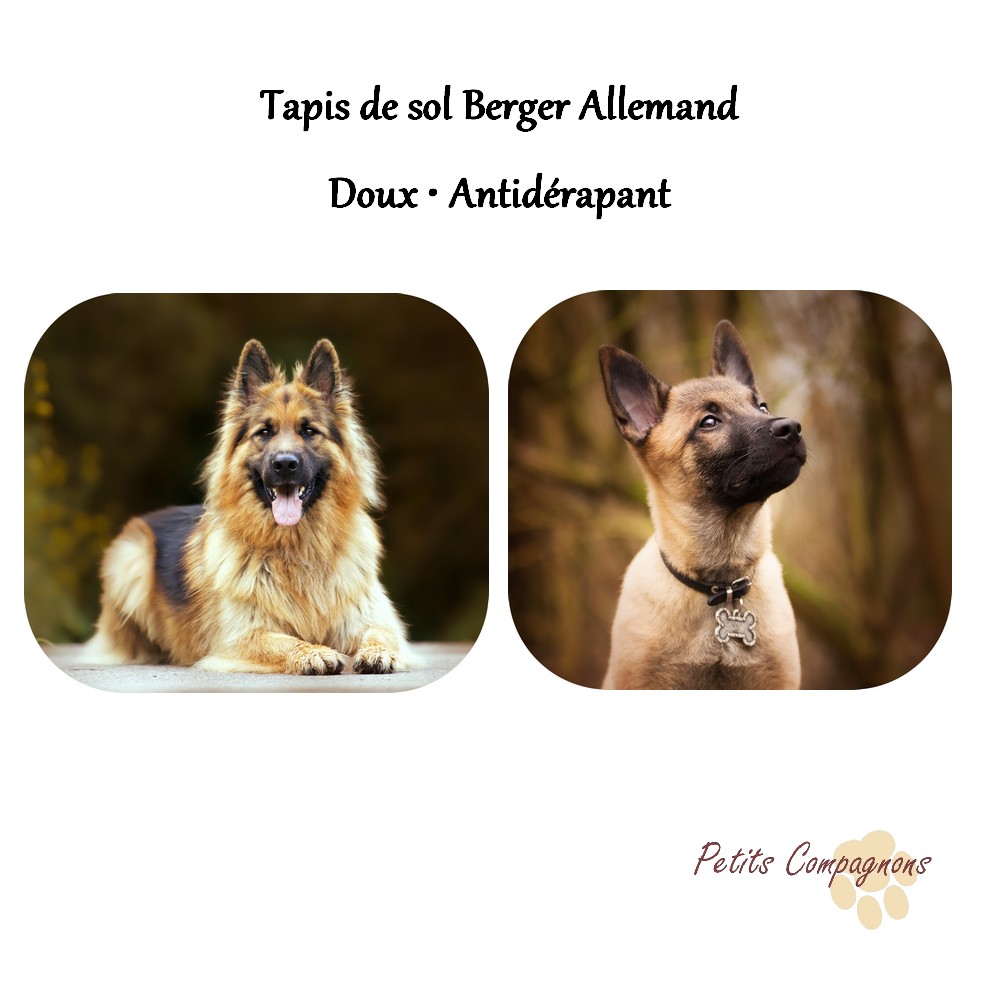 Tapis de sol Berger Allemand