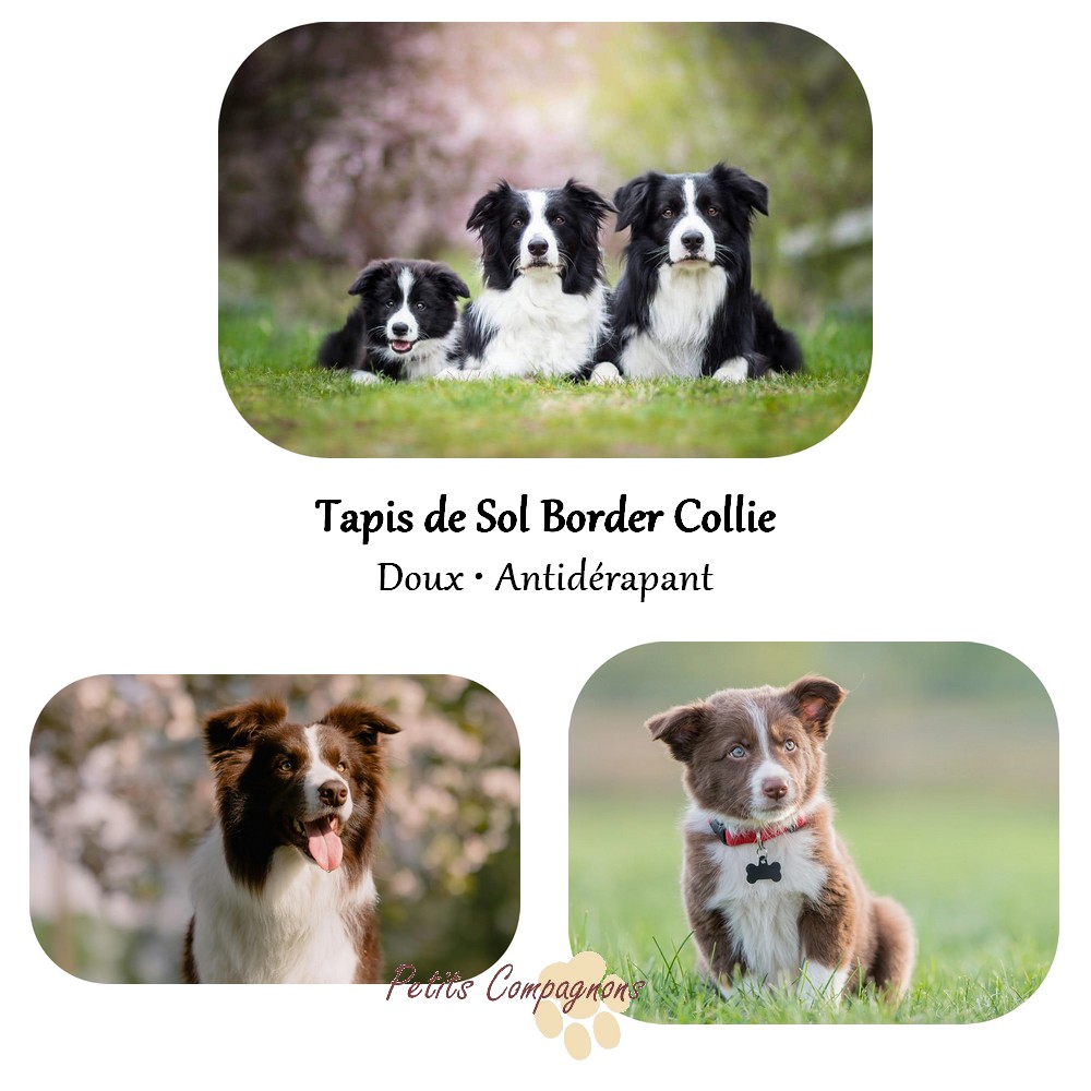 Tapis de sol Border Collie