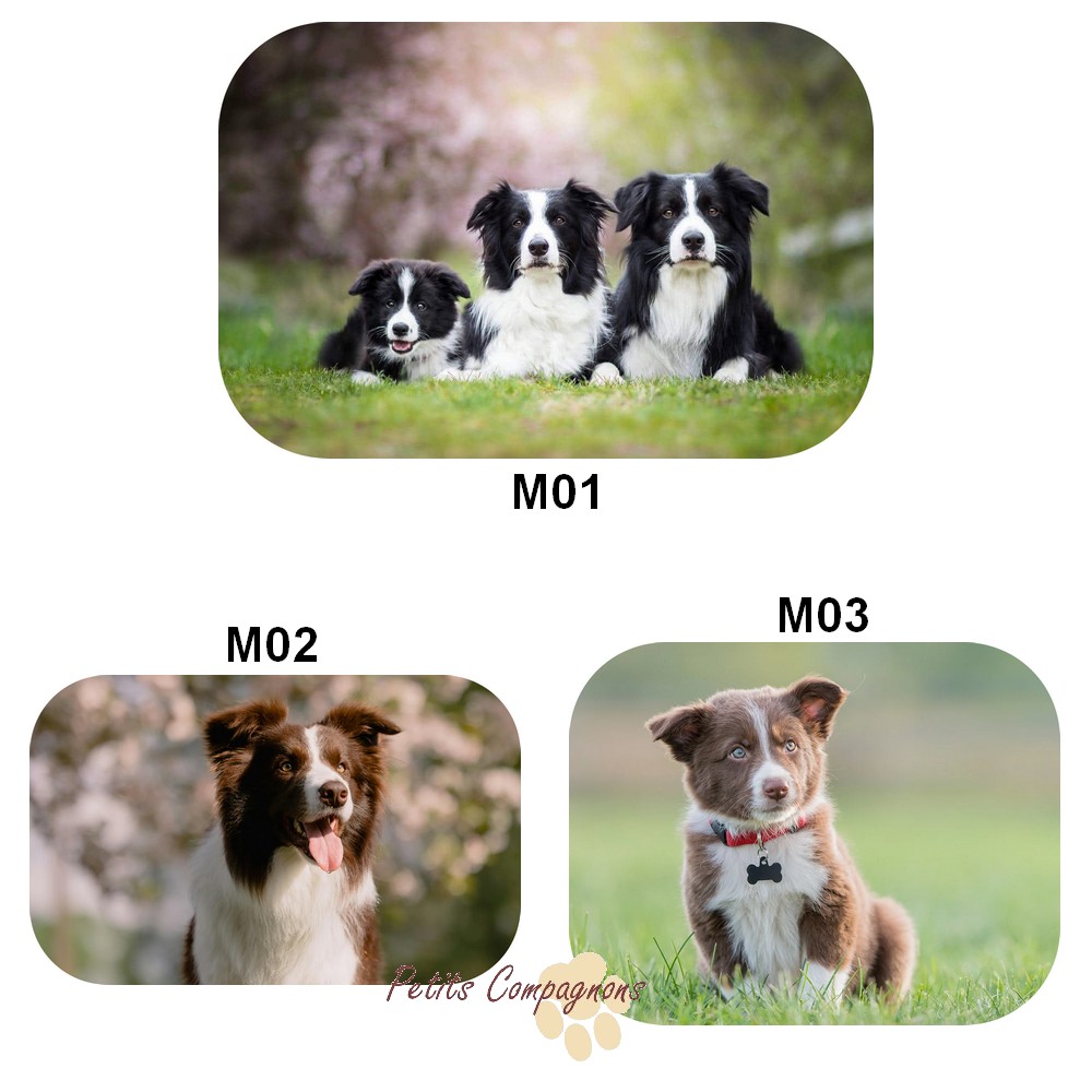 tapis-border-collie-motif-chien