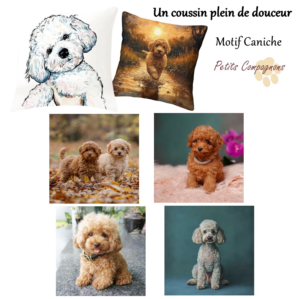 Housse de coussin Caniche