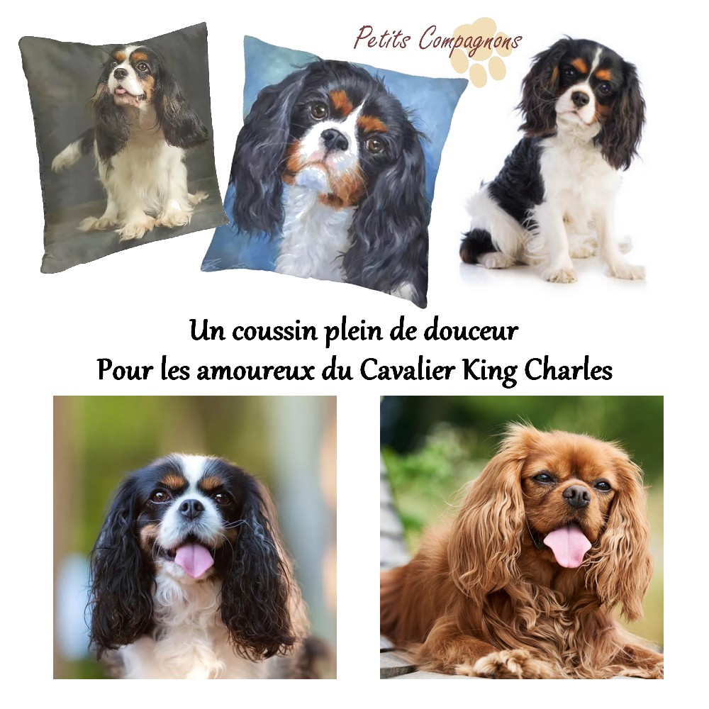 Housse de coussin Cavalier King Charles