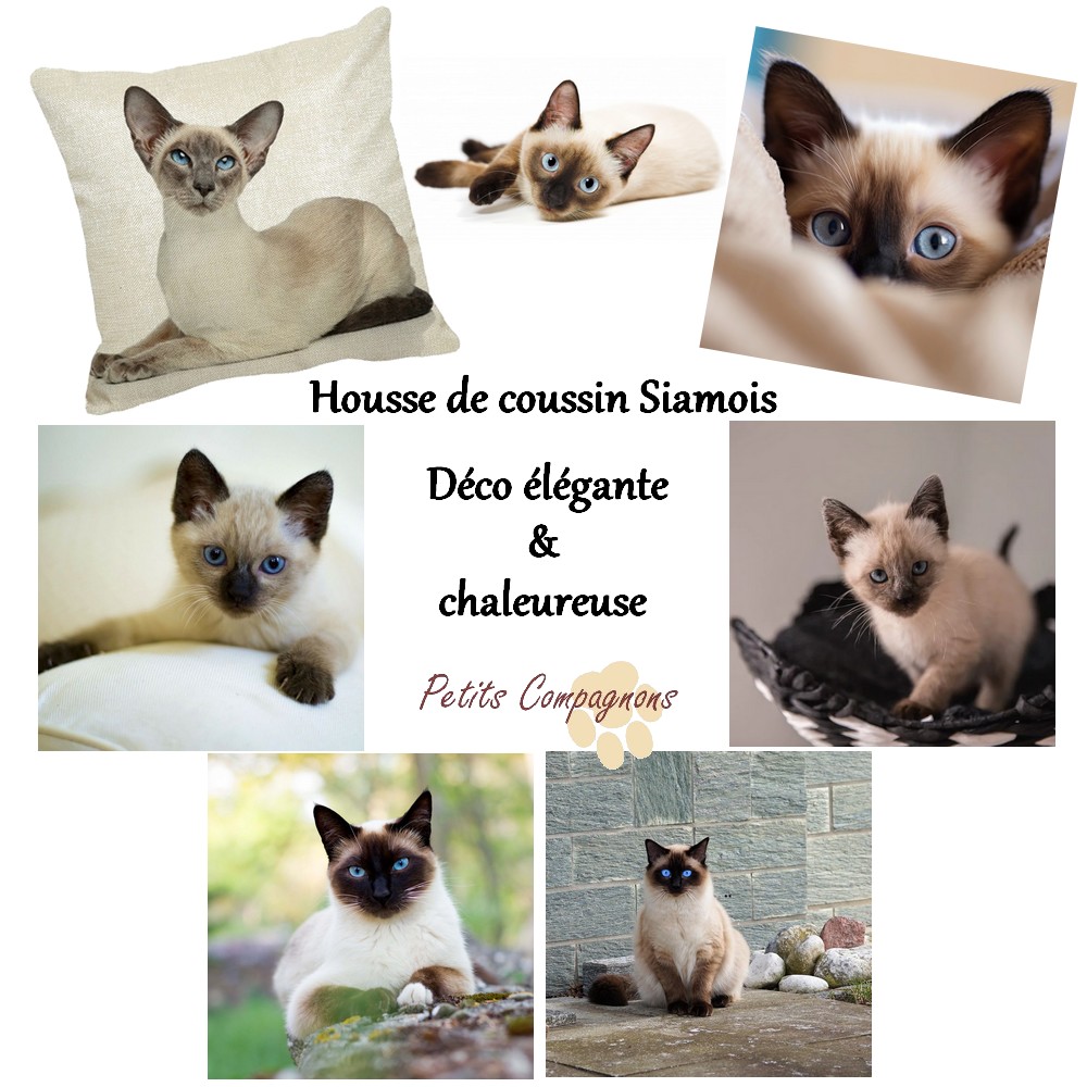 Housse de coussin Siamois