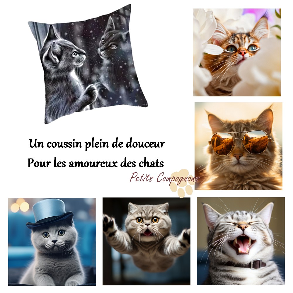 Housse de coussin chats
