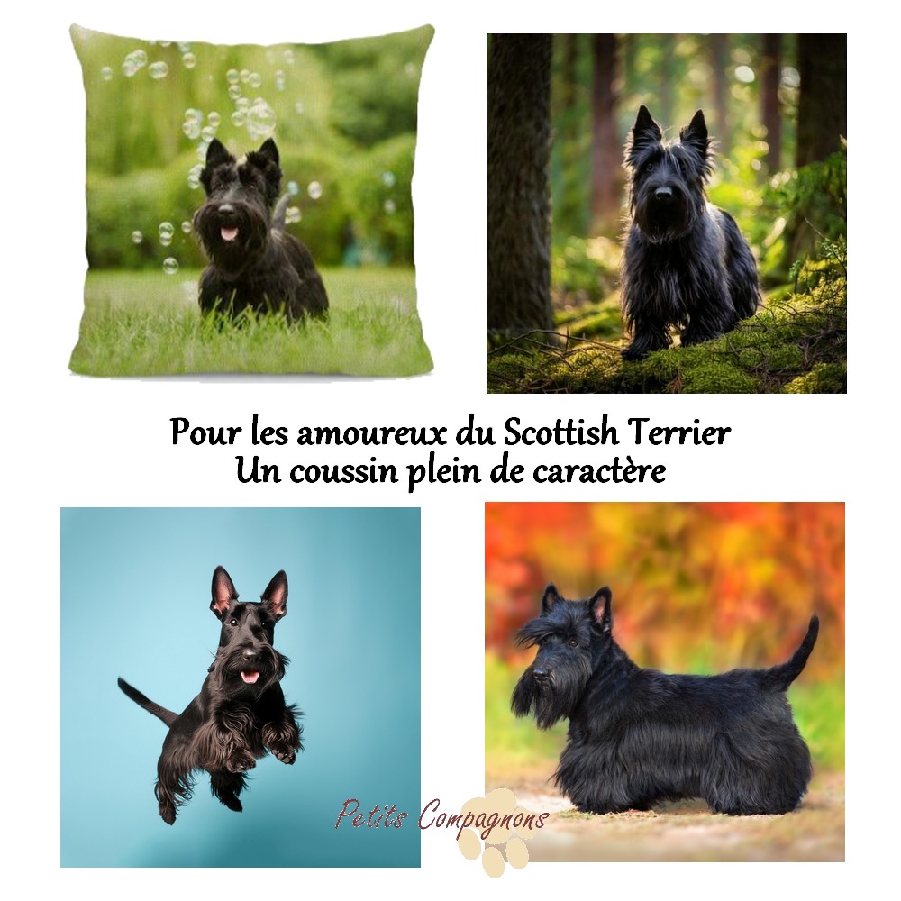 Housse de coussin Terrier Ecossais