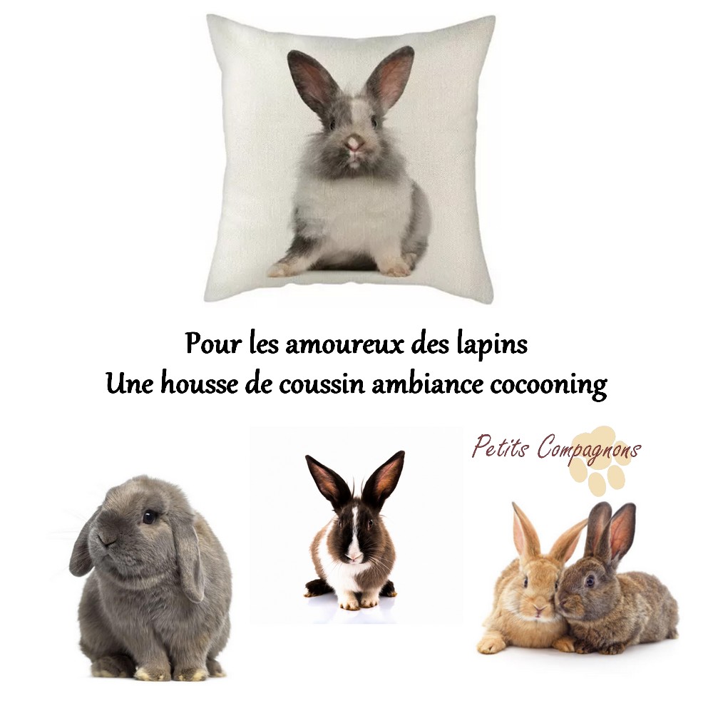 Housse de coussin blanche motif lapin