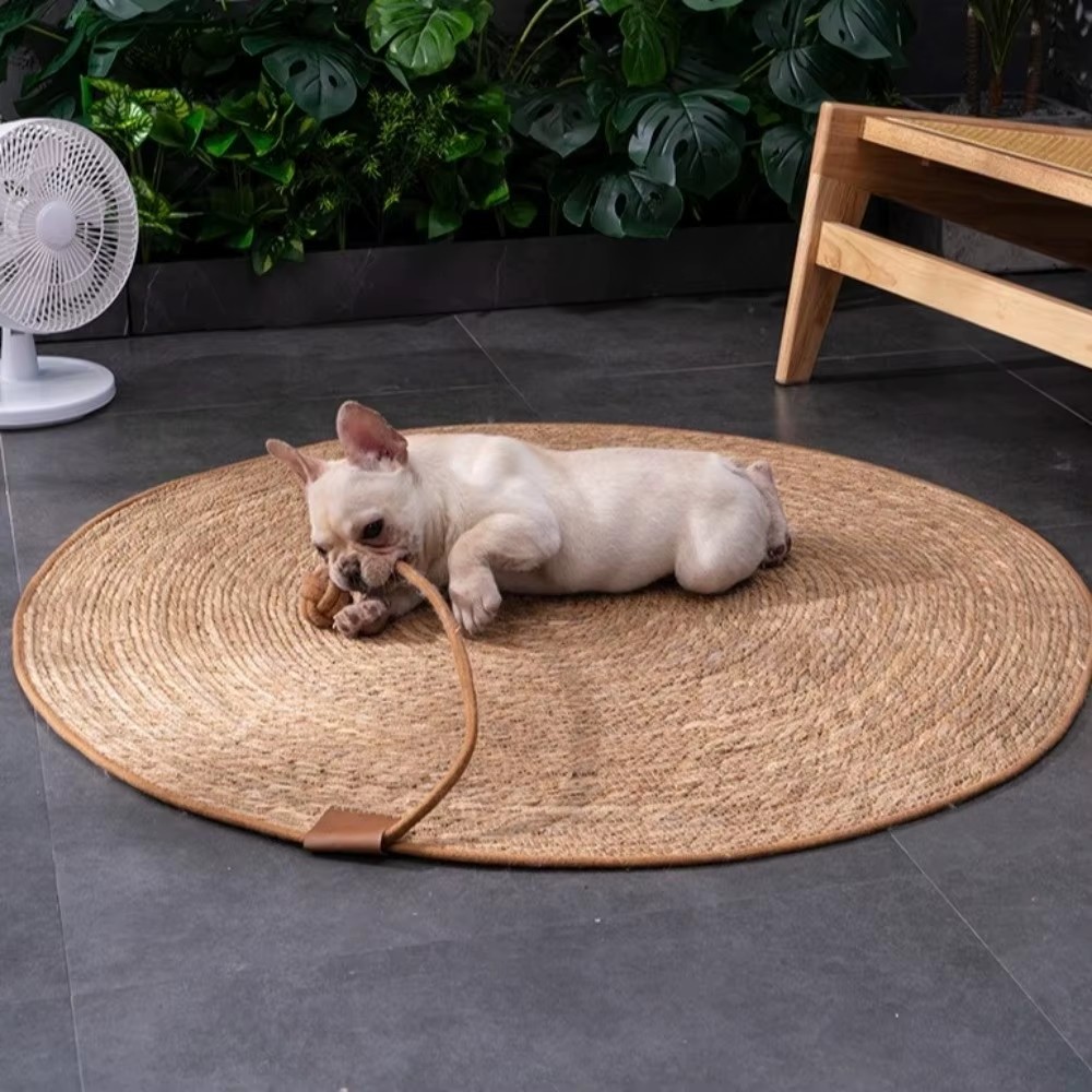 tapis-griffoir-chat-design-naturel-interieur