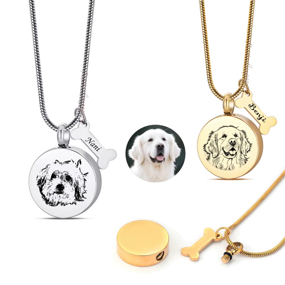 Collier Urne Chien Personnalisé Premium