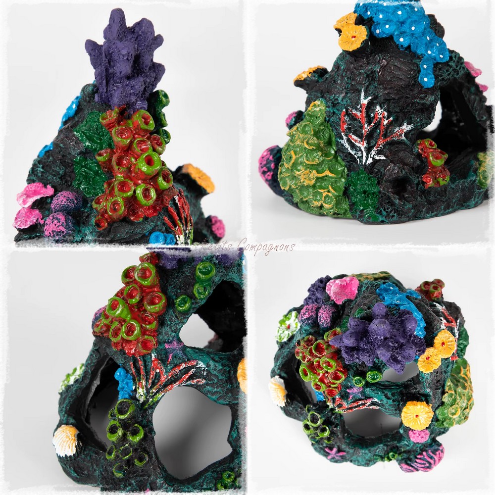 recif-corail-resine-cachette-poissons