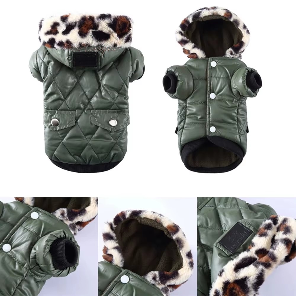 manteau-chien-hiver-exterieur
