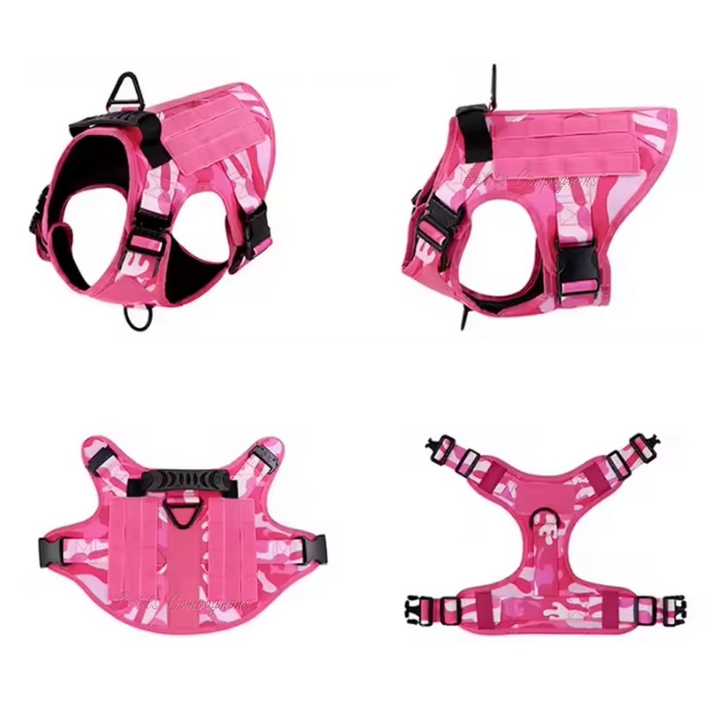 harnais-tactique-chien-sport-canin-exterieur