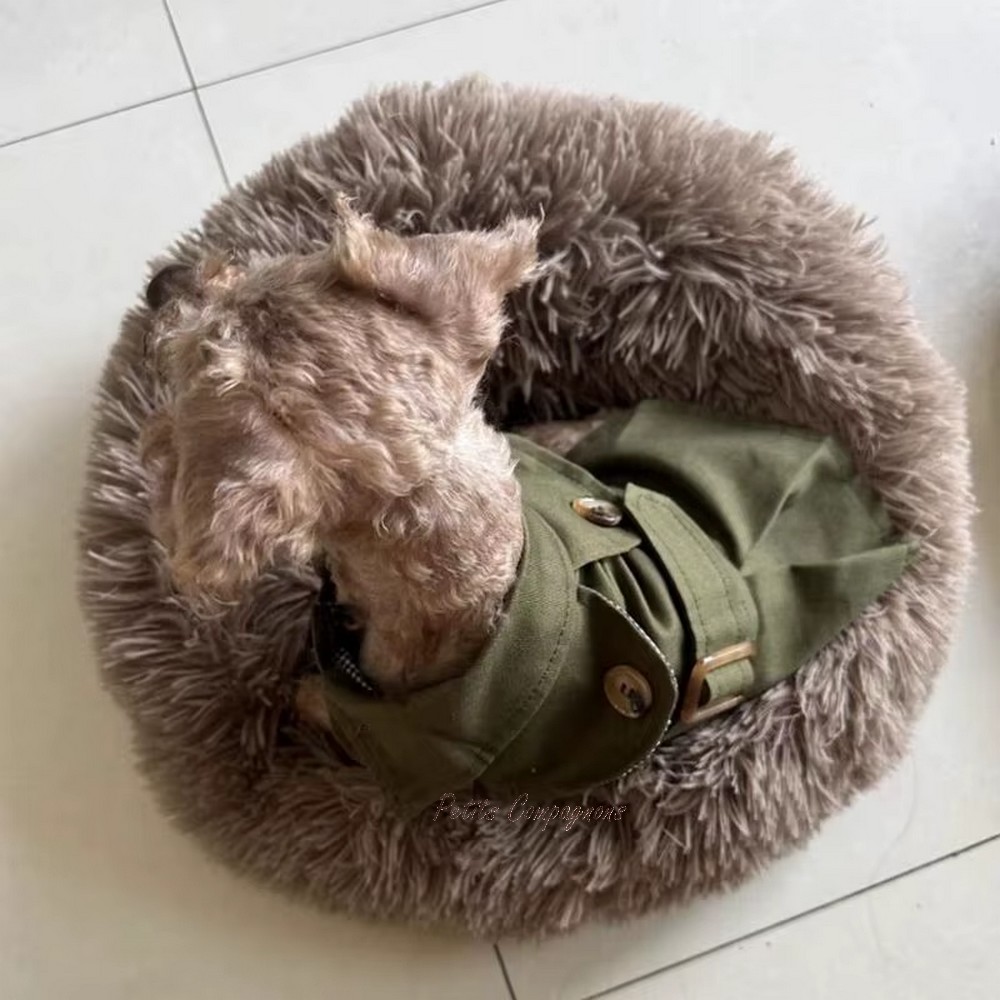 manteau-chien-polyester