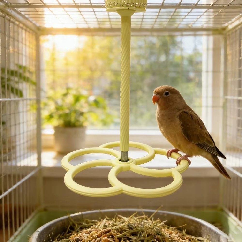 jouet-oiseau-cage-perchoir-rotatif-silencieux