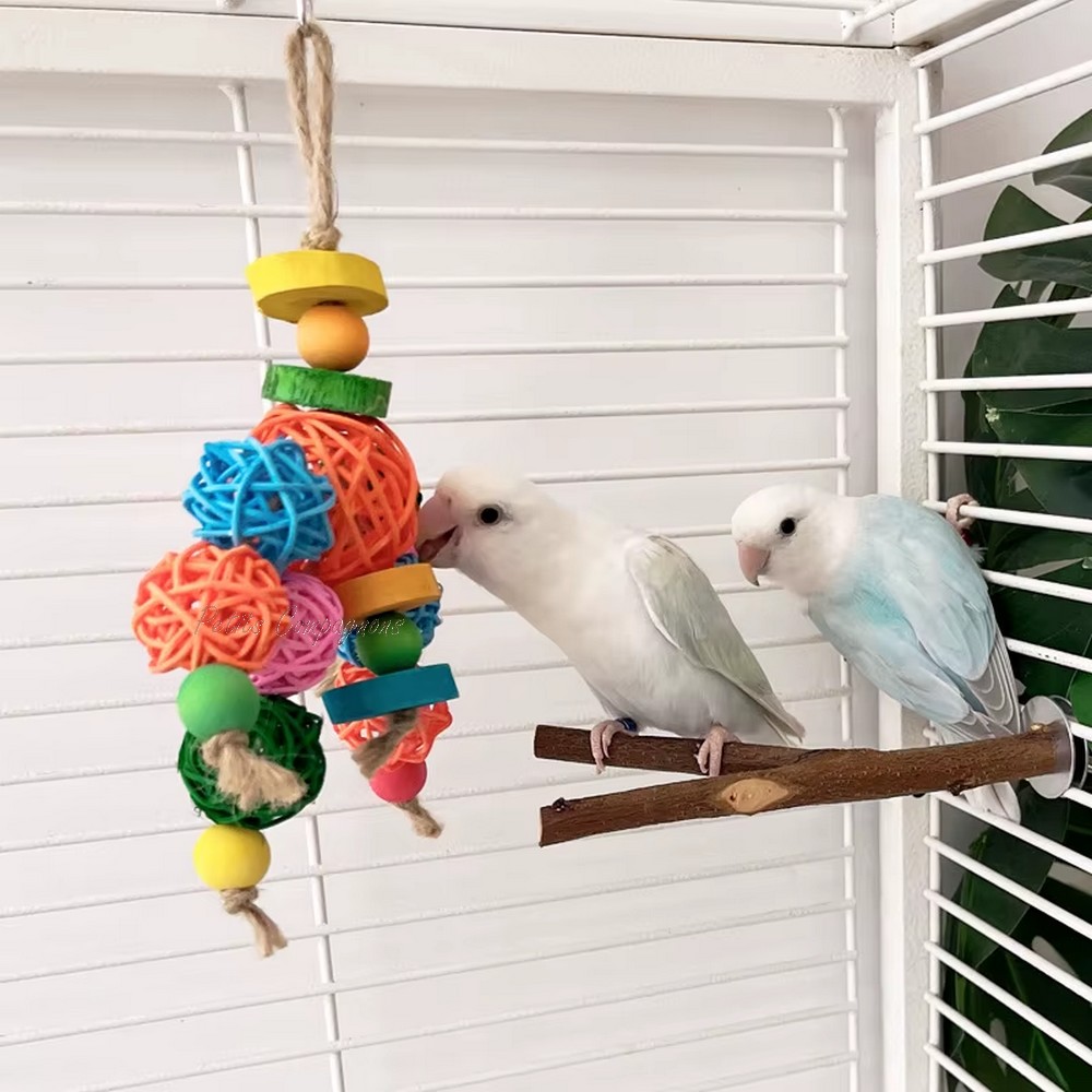 jouet-oiseau-perche-balancoire