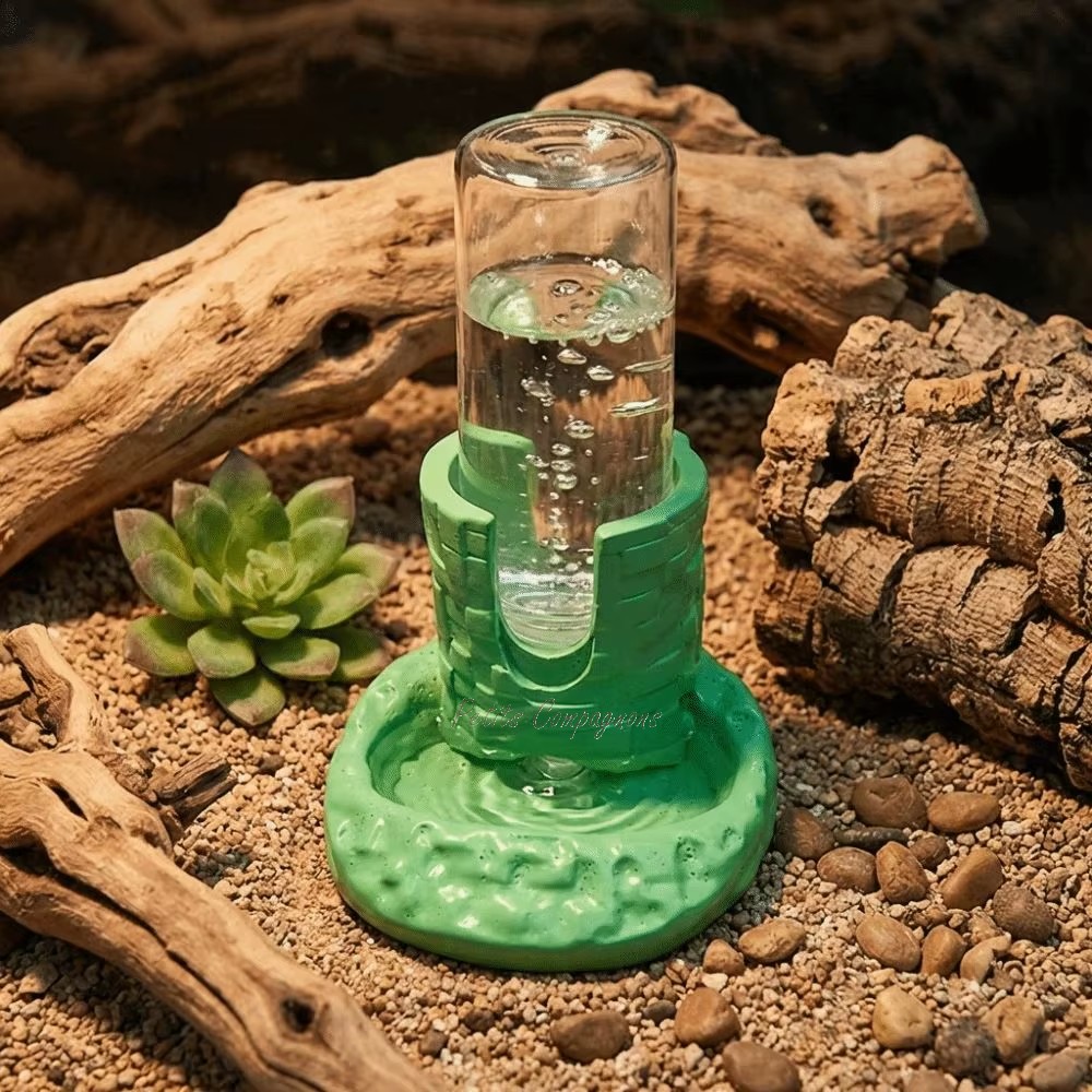 gamelle-reptile-antiderapant