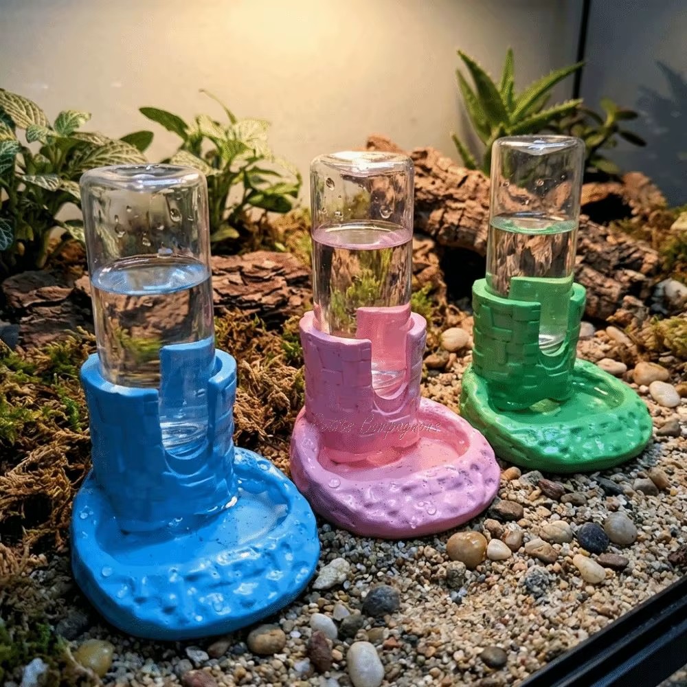 abreuvoir-tortue-automatique