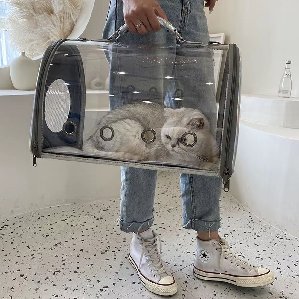 caisse-transport-chat-transparente