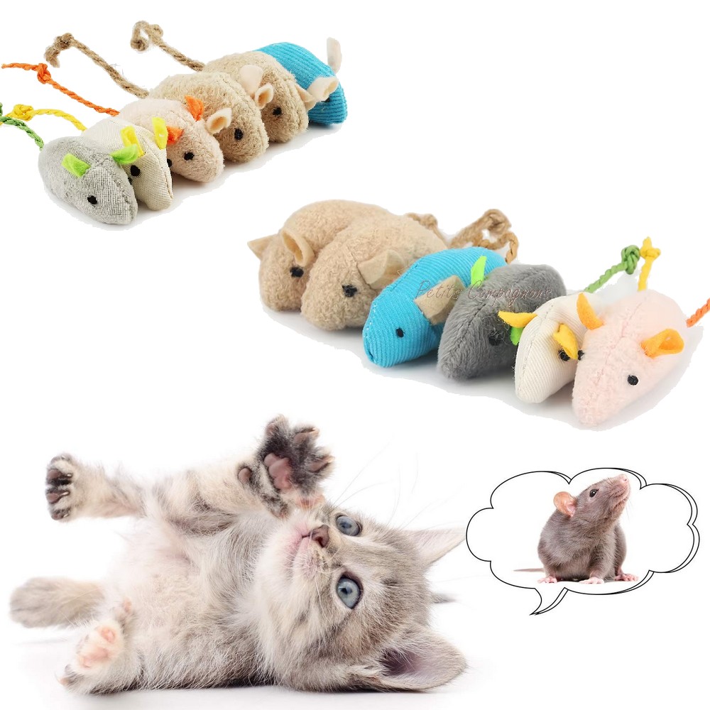Lot 3 souris