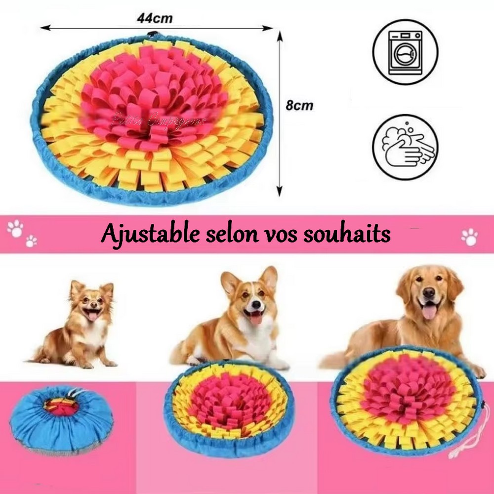 tapis-fouille-chien-chat