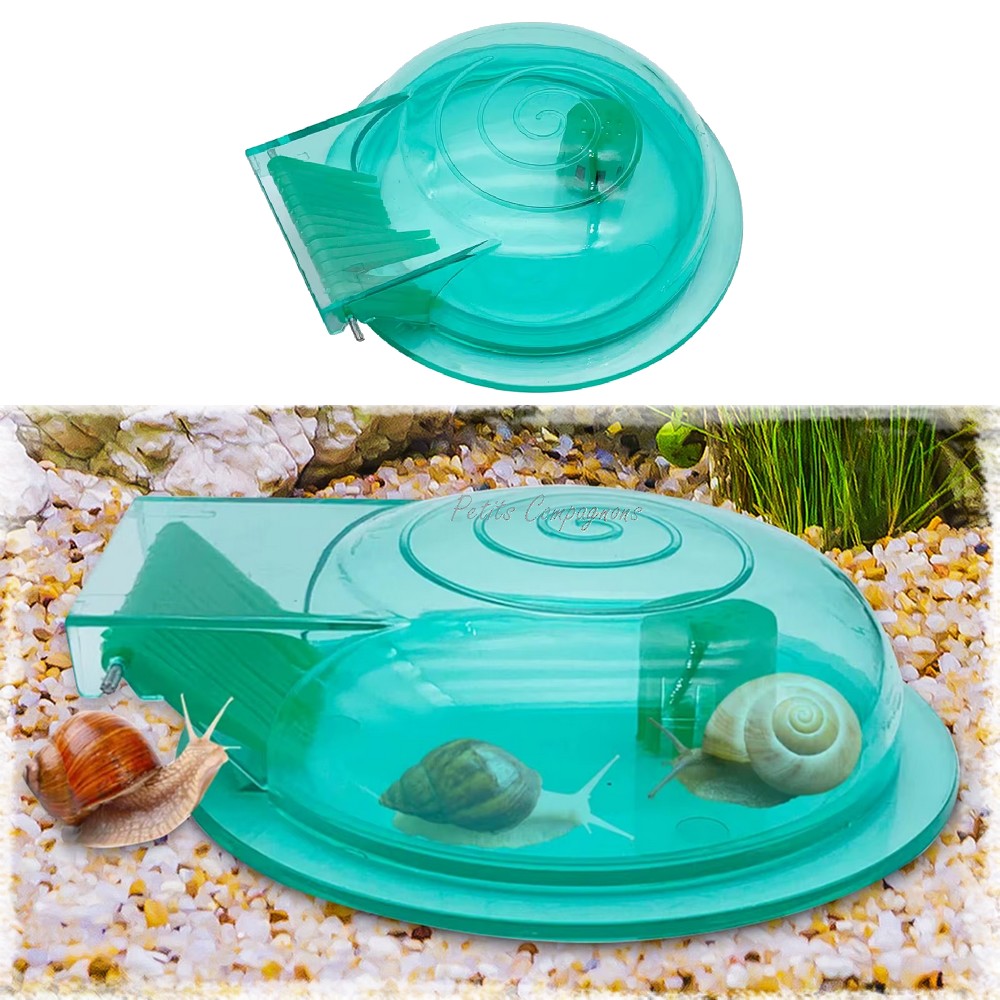 Piège à escargots aquarium - Lot de 2
