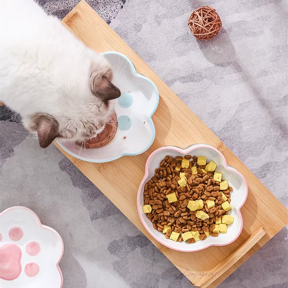 gamelle-chat-design