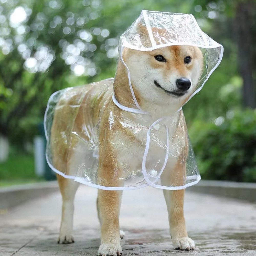 manteau-pluie-chien-capuche